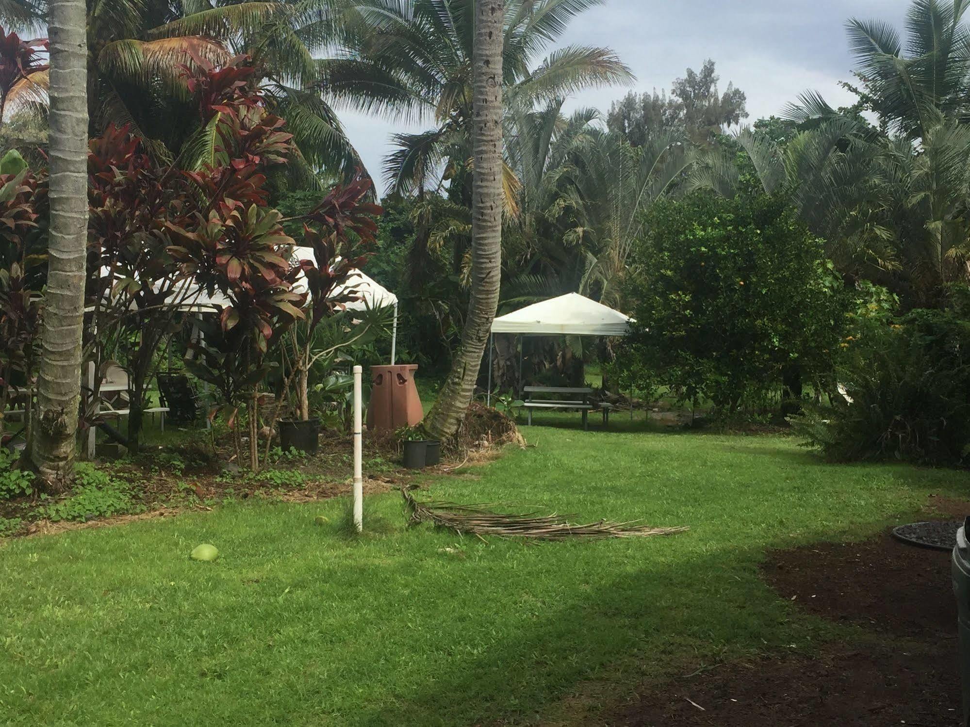 הילו Aaron'S Cottage מראה חיצוני תמונה